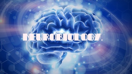 Naar een wereld zonder Parkinson, Prof.Dr. Wouter Peelaerts